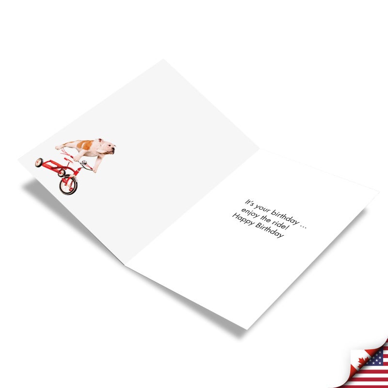NobleWorks - 1 Adorable Birthday Card Funny - Pet Dog Animal Humor, Bday Notecard with Envelope - Dog on Trike C3204BDG - Image 2